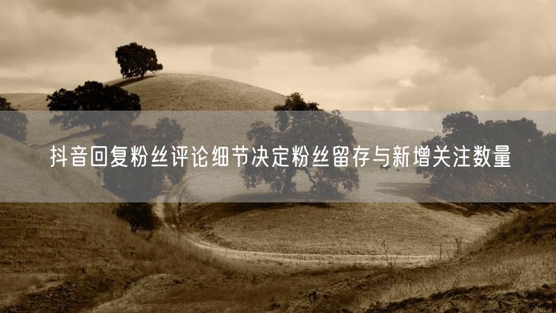 抖音回复粉丝评论细节决定粉丝留存与新增关注数量