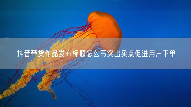 抖音带货作品发布标题怎么写突出卖点促进用户下单