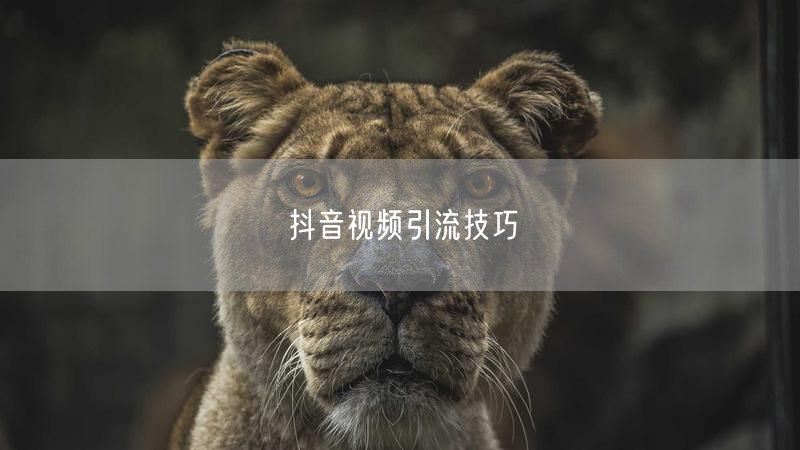 抖音视频引流技巧