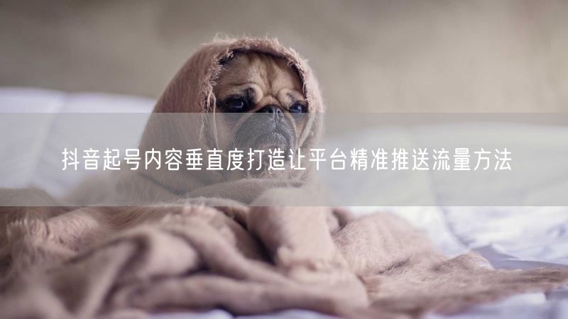抖音起号内容垂直度打造让平台精准推送流量方法