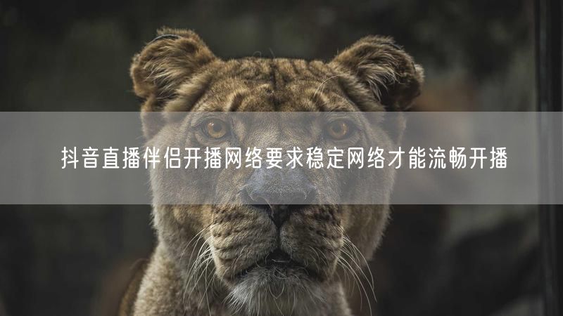 抖音直播伴侣开播网络要求稳定网络才能流畅开播