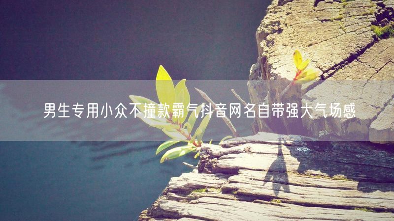 男生专用小众不撞款霸气抖音网名自带强大气场感