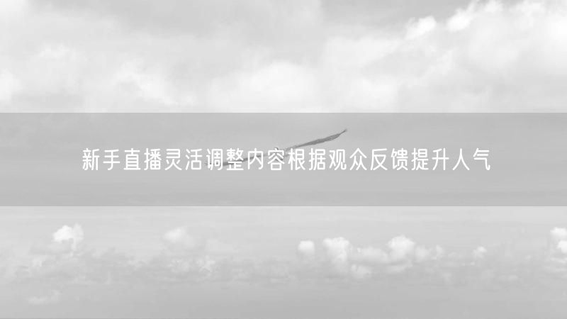 新手直播灵活调整内容根据观众反馈提升人气