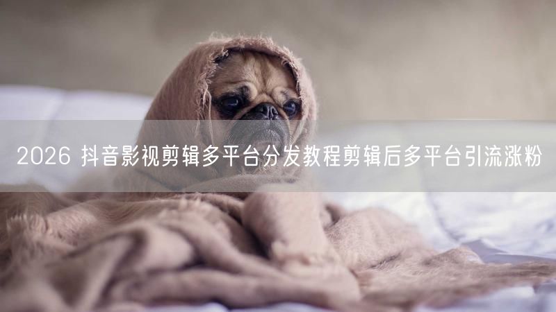 2026 抖音影视剪辑多平台分发教程剪辑后多平台引流涨粉