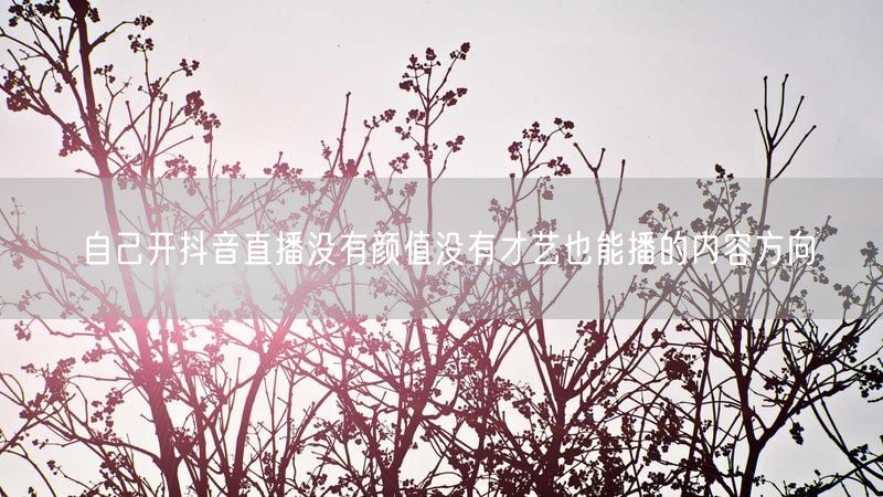 自己开抖音直播没有颜值没有才艺也能播的内容方向