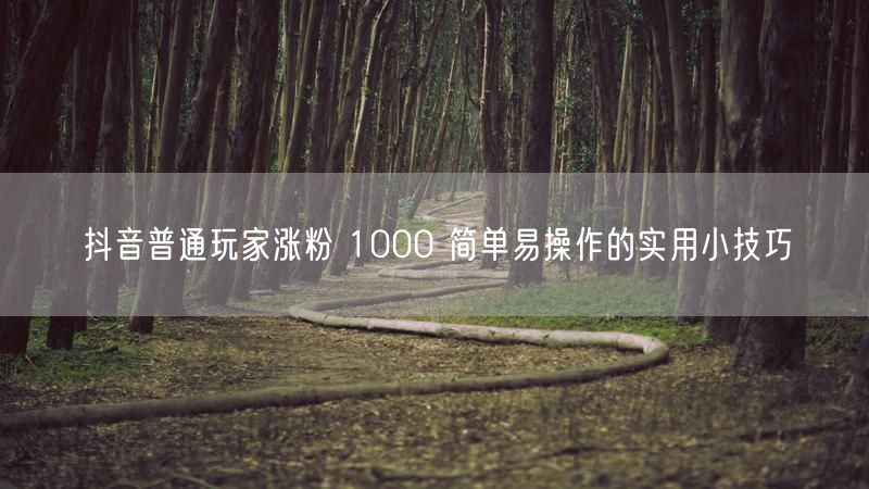 抖音普通玩家涨粉 1000 简单易操作的实用小技巧