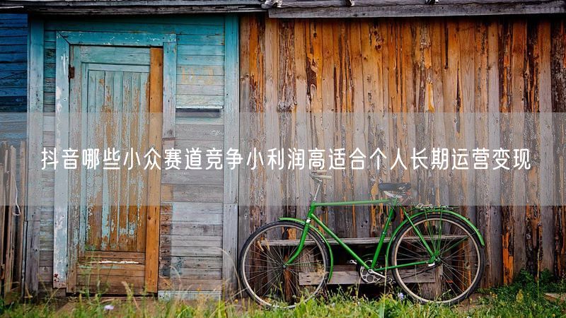 抖音哪些小众赛道竞争小利润高适合个人长期运营变现
