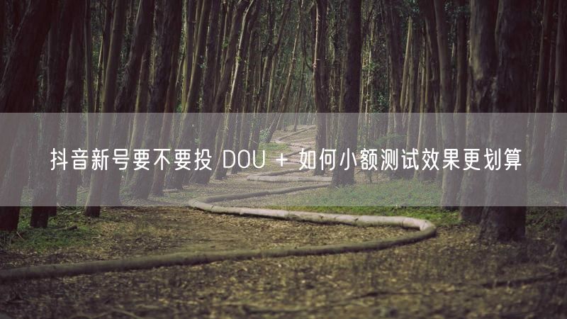 抖音新号要不要投 DOU + 如何小额测试效果更划算