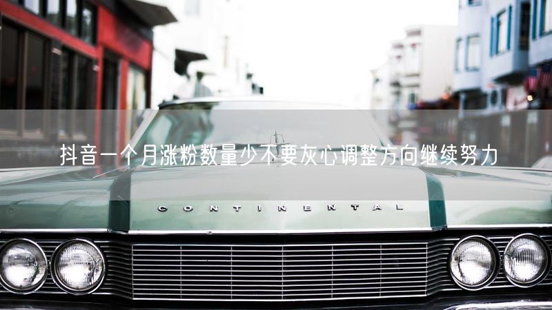 抖音一个月涨粉数量少不要灰心调整方向继续努力