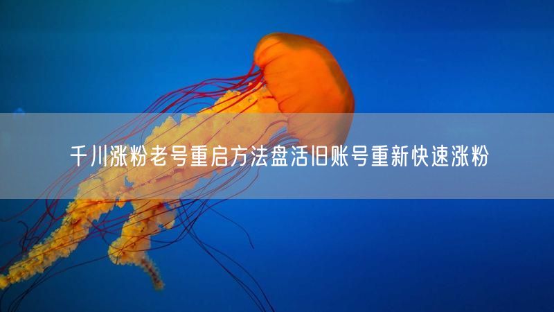 千川涨粉老号重启方法盘活旧账号重新快速涨粉