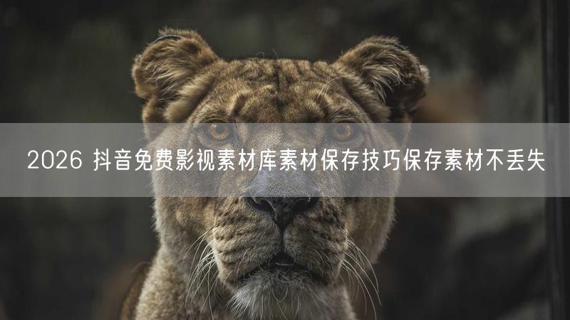 2026 抖音免费影视素材库素材保存技巧保存素材不丢失