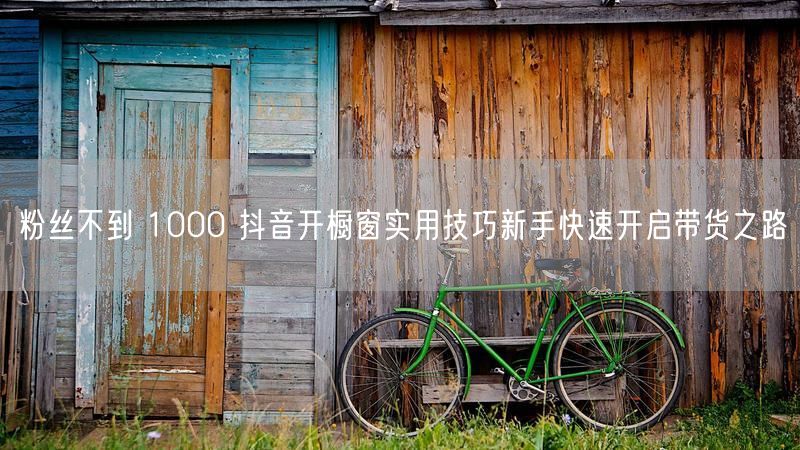 粉丝不到 1000 抖音开橱窗实用技巧新手快速开启带货之路