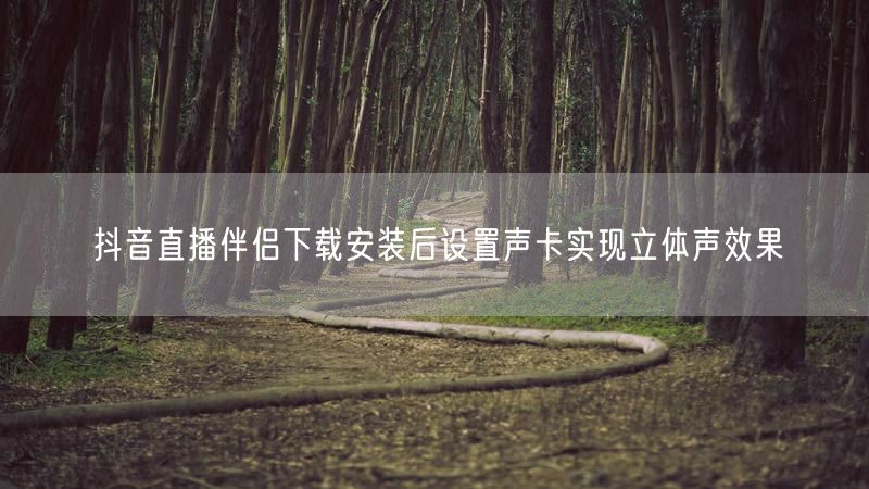 抖音直播伴侣下载安装后设置声卡实现立体声效果